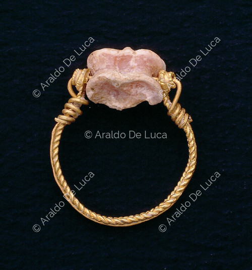 Astragalus-Ring