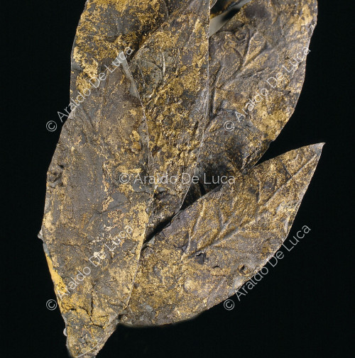 Corona de hojas de laurel. Detalle