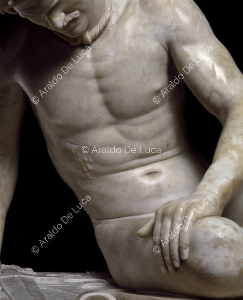 Estatua de la Galata moribunda. Detalle del cuerpo