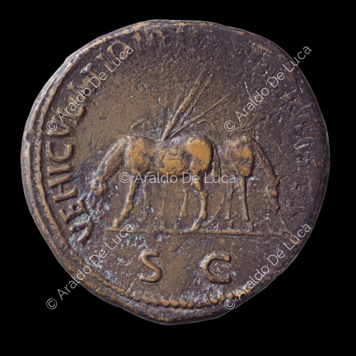 Two mules grazing, Roman Imperial sestertius of Nerva
