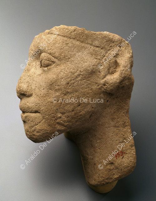 Une demi-tête d'Akhenaton