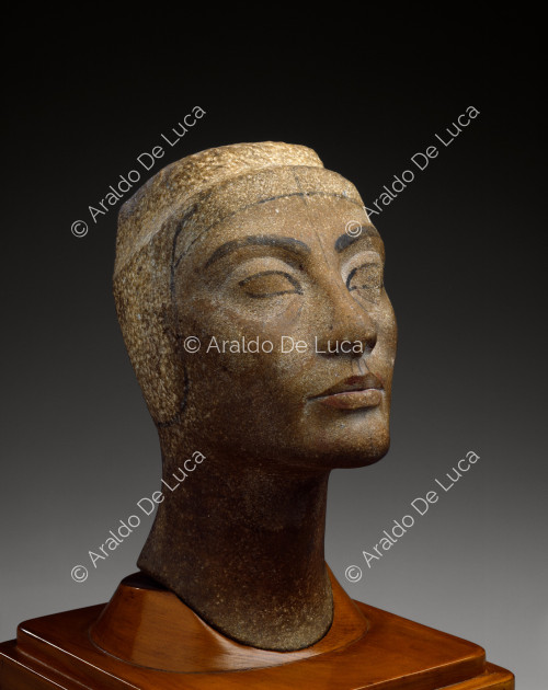 Unfinished head of Nefertiti
