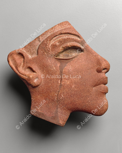 Profil du pharaon