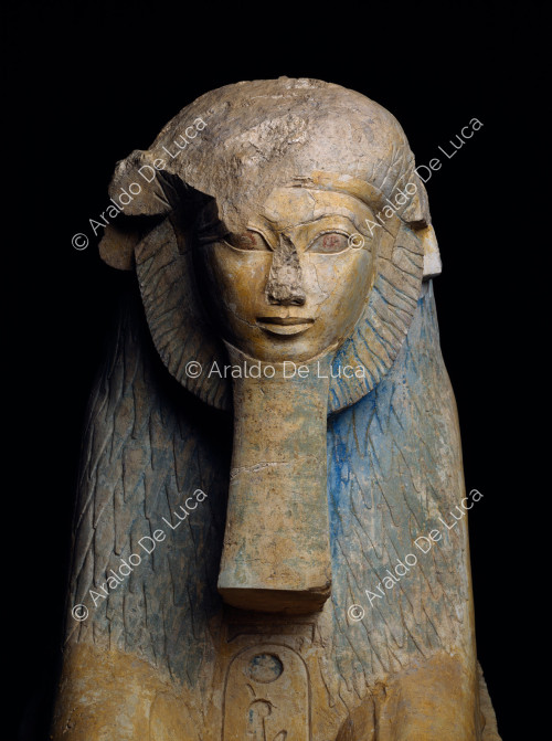 Esfinge de Hatshepsut (detalle)
