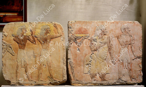 Fragments of the survey of the expedition in the Land of Punt
