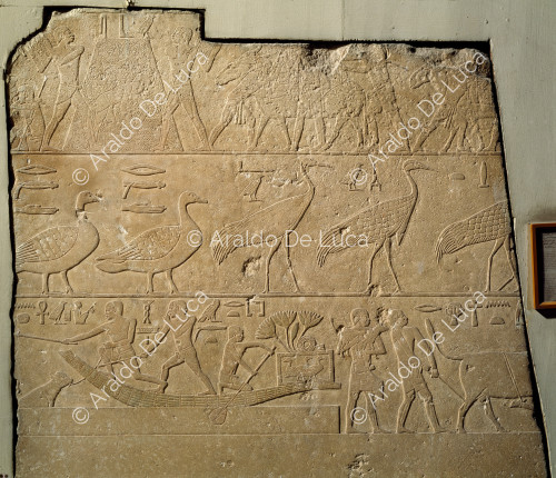 Mastaba relief
