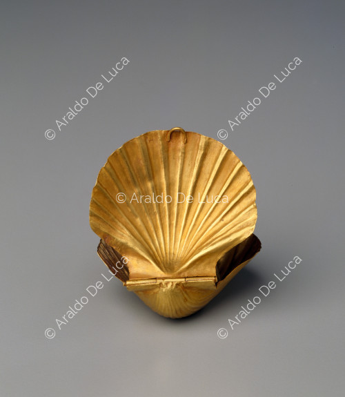 Shell-shaped container