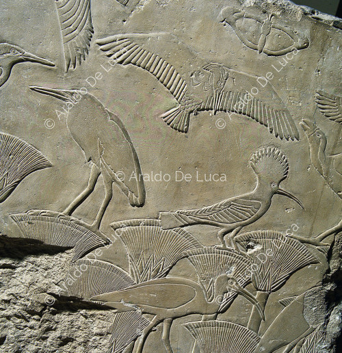 Relief mit Vögeln und Papyruspflanzen