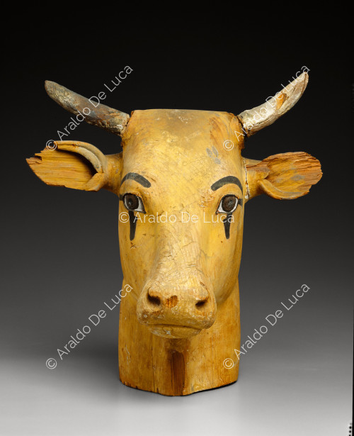 Wooden cow's head