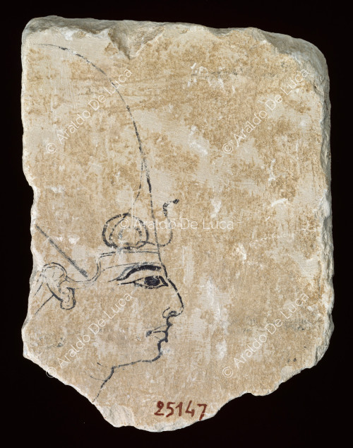 Ostracon with old sovereign