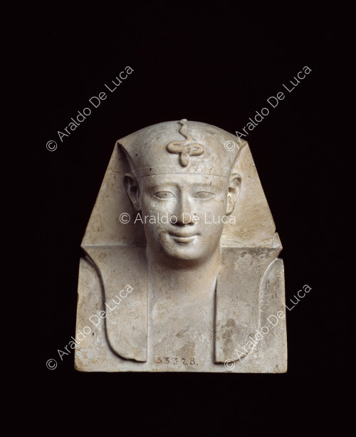 Model with the head of a king