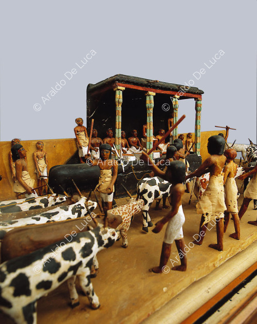 Modell der Viehzählung