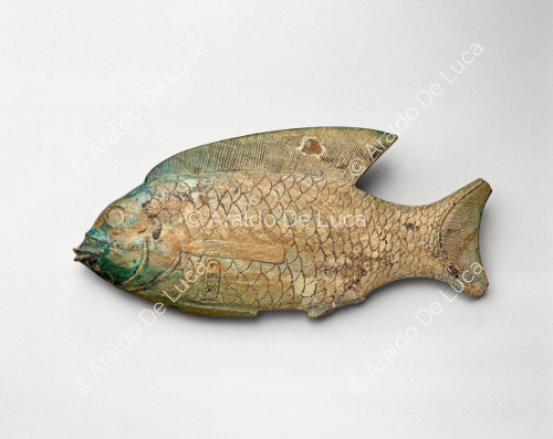 Fisch mit dem Bildnis von Thutmosi III.