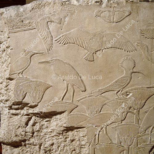 Relief mit Vögeln und Papyruspflanzen