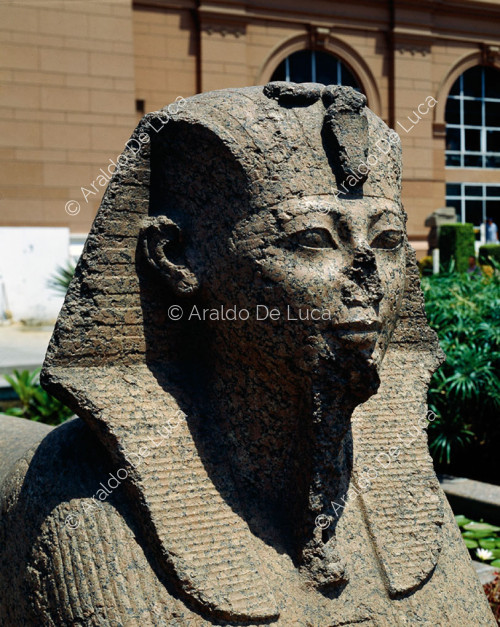 Sfinge di Thutmosi III
