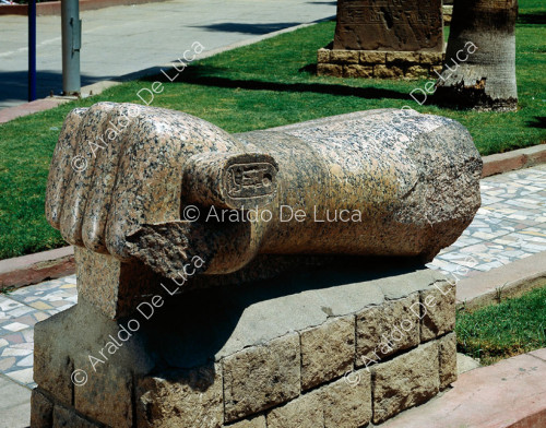 Unterarm von Ramses II.