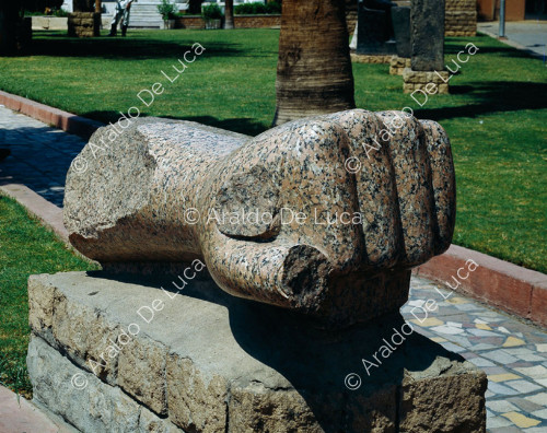 Avant-bras de Ramsès II