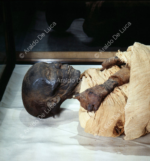 Momia de Tutmosi II