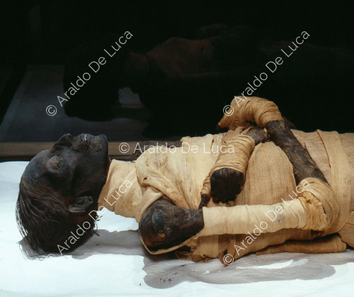 Mummia di Thutmosi IV