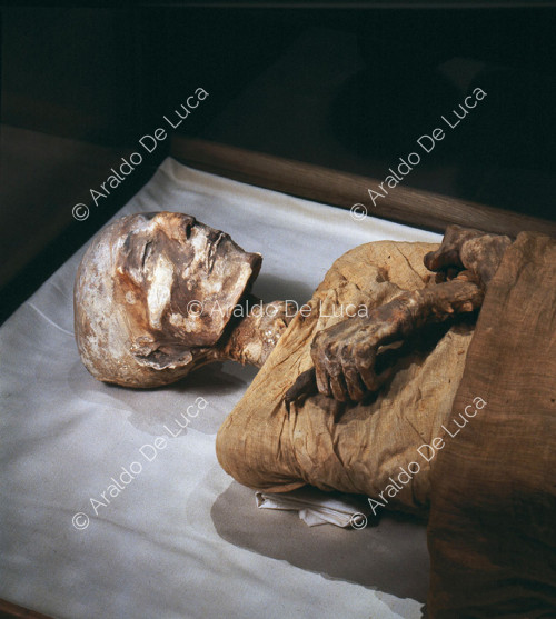 Mumie des Merenptah