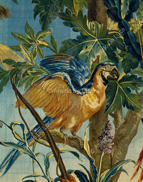 The Indian hunter. Detail with parrot