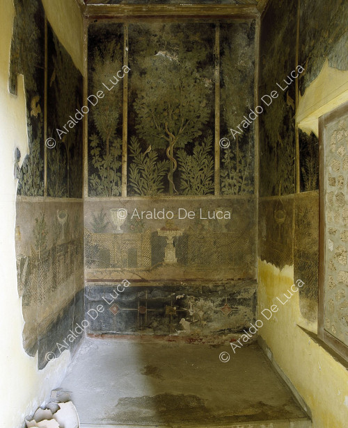 House of the Floral Cubicles or Orchard. Fresco