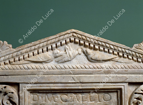 Urna del General C. Allius Priscus. Detalle de la tapa