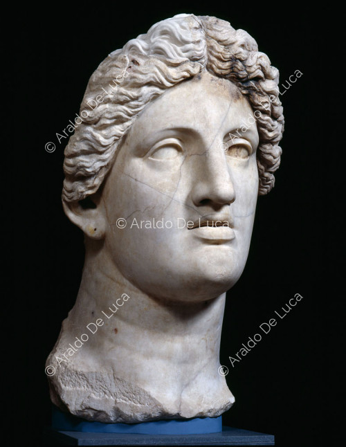 Statua colossale di divinità femminile : testa