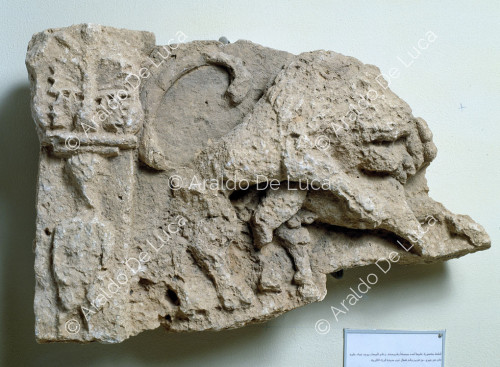 Fragment eines Reliefs mit Löwe