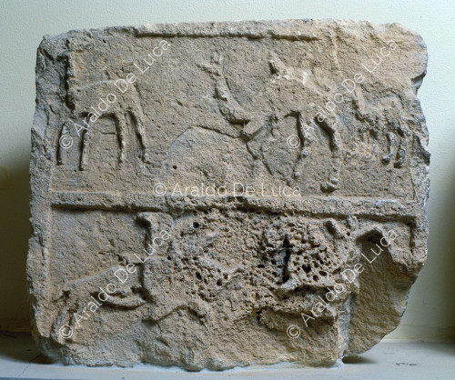 Frieze with dromedary and eagle