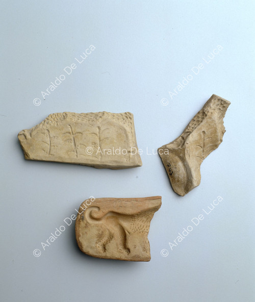 Fragmentos de cerámica decorada