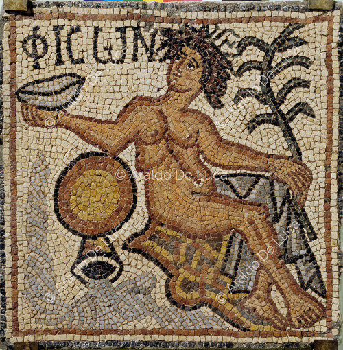 Mosaico policromado con la personificación del río Danubio