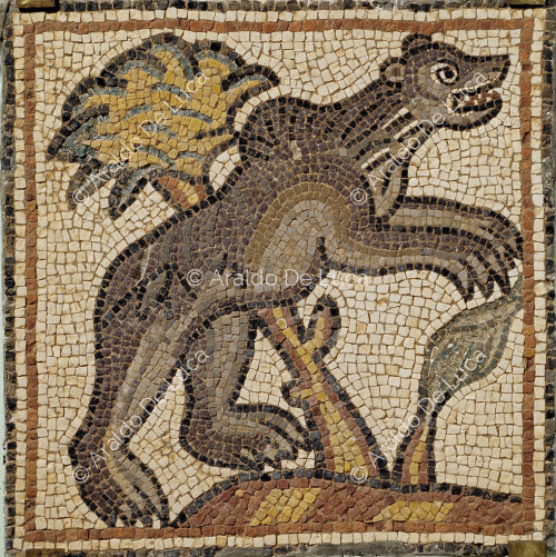 Polychrome mosaic with orso