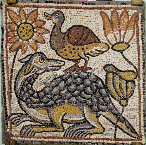 Mosaico policromo con anatra e drago