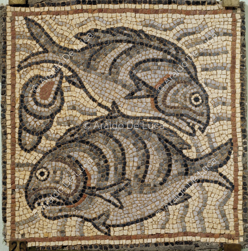Polychromes Mosaik mit Fisch und Muschel