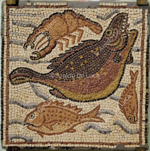 Mosaico policromo con fauna marina