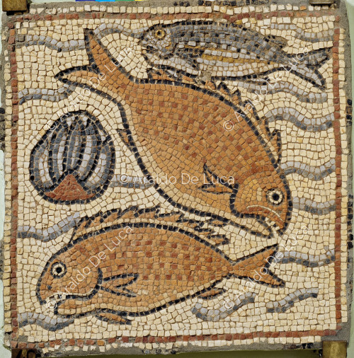 Polychromes Mosaik mit Meeresszene