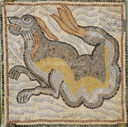 Mosaico policromo con mostro marino