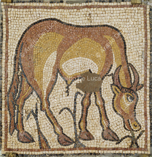 Mosaico policromo con cervo al pascolo