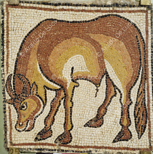 Polychrome mosaic with bull