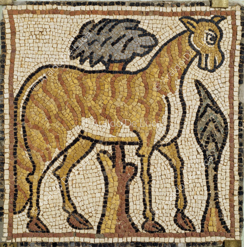 Mosaico policromo con animale da soma