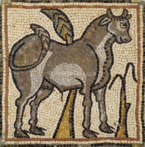 Mosaïque polychrome avec taureau