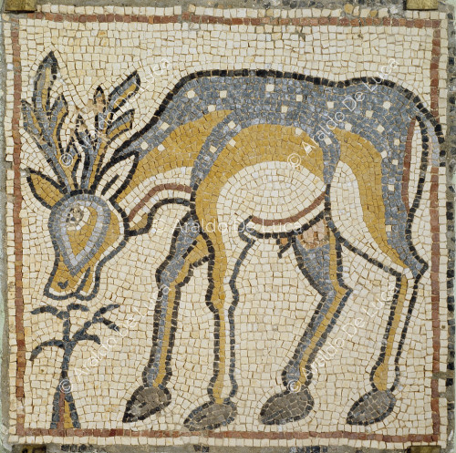 Mosaico policromo con cervo al pascolo