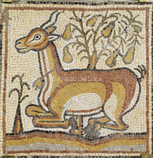 Mosaïque polychrome avec antilope
