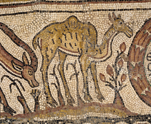 Polychrome mosaic. Particolare with dromedary