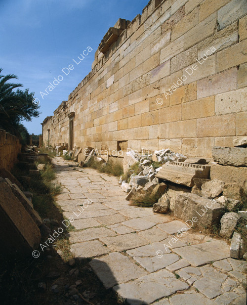 Murs du forum
