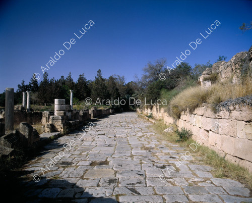 Leptis Magna, termas