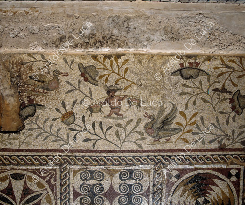 Mosaico com pigmei ed anatre