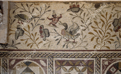 Mosaico con pigmei ed anatre