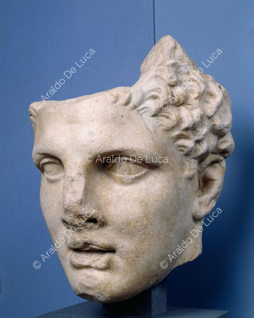 Kolossaler Kopf des Herkules